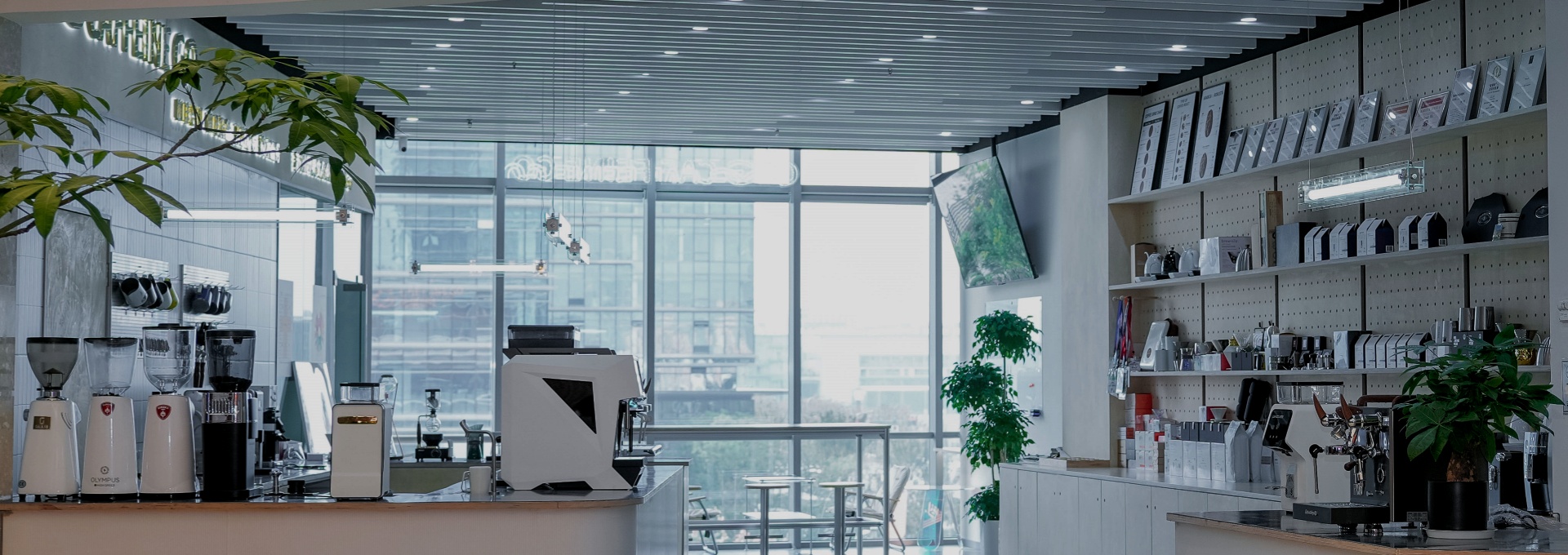 Distribution Network