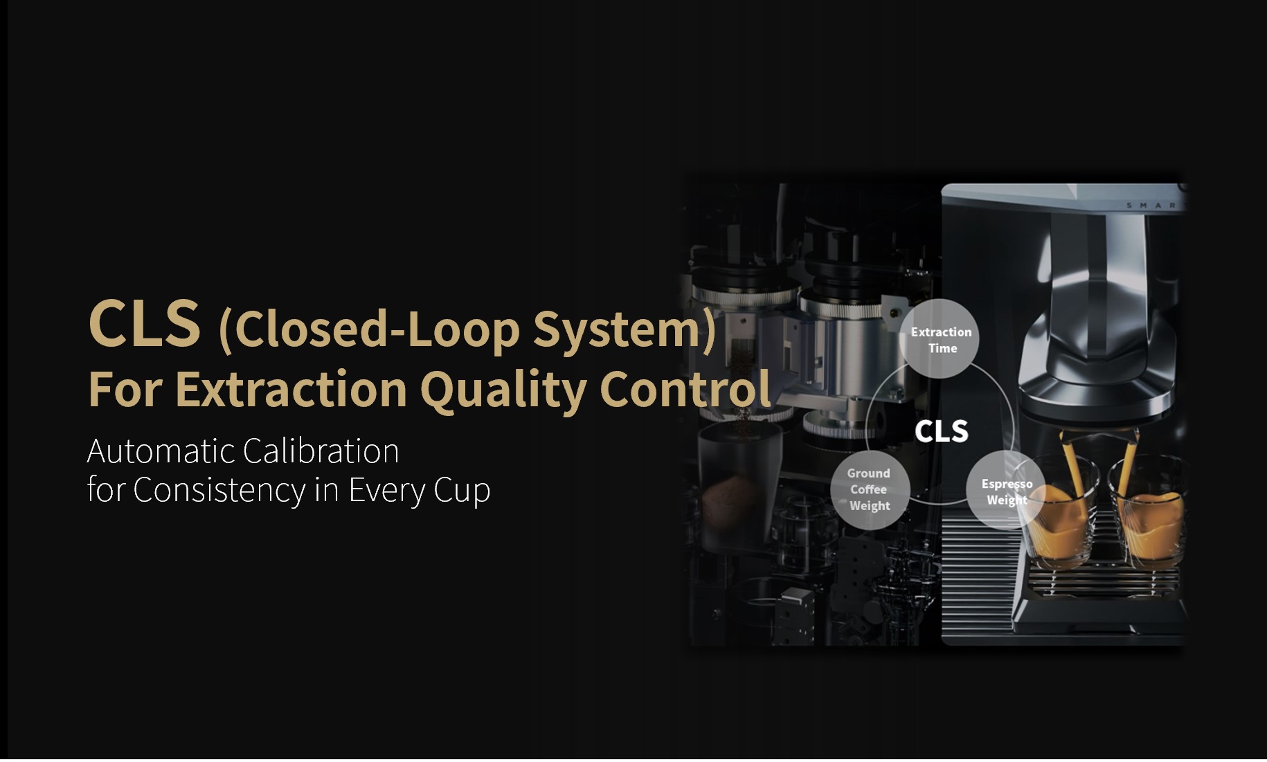 Closed-Loop System (CLS) 