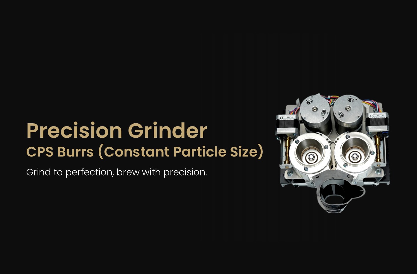 Precision Grinding System (CPS Burrs)