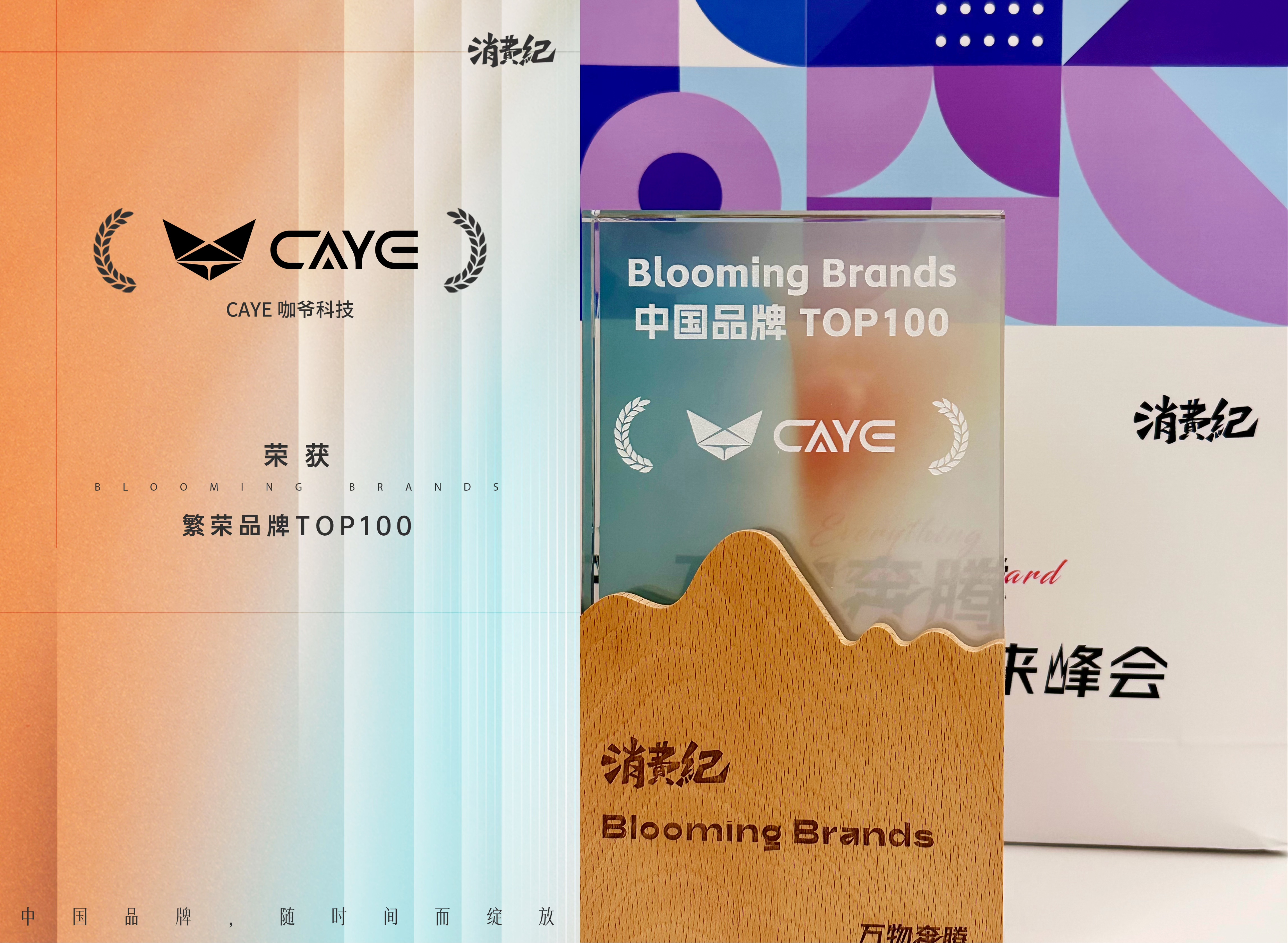 咖爷科技荣获消费纪中国繁荣品牌TOP 100 